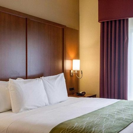 Comfort Suites Starkville Zewnętrze zdjęcie
