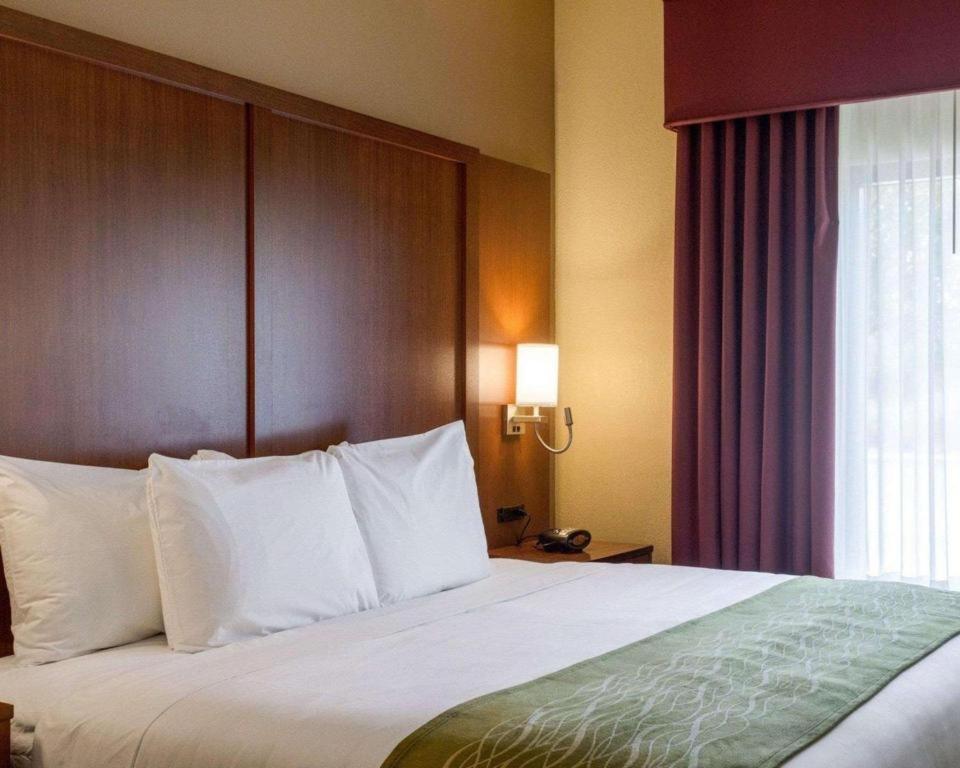 Comfort Suites Starkville Zewnętrze zdjęcie
