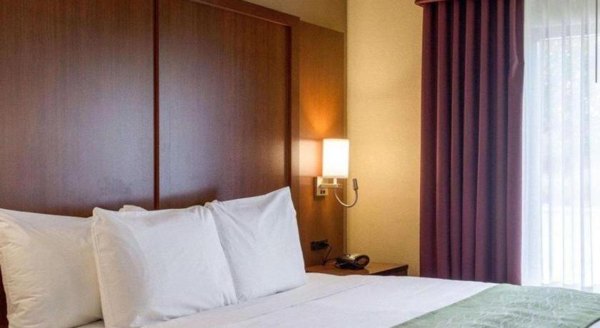 Comfort Suites Starkville Zewnętrze zdjęcie